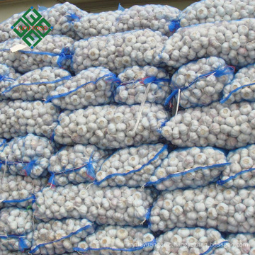 Best quality bulk pure fresh normal white garlic